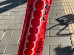 -和禄德冰糖葫芦