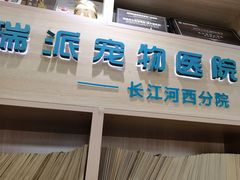 -瑞派长江宠物医院·猫科·外科·24小时夜护(谊城公寓分院)