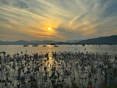-湖畔居茶楼(湖滨店)