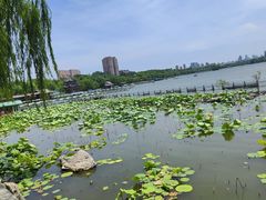 -济南大明湖景区