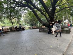 -东风公园