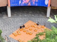 -瑞虹新天地月亮湾