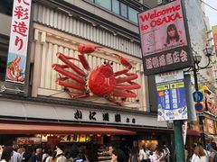 -蟹道乐(道顿堀本店)