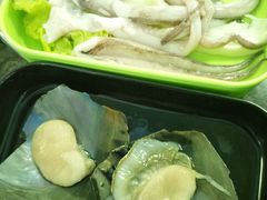 -蚝专家
