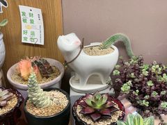 -瑞虹新天地月亮湾