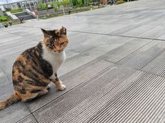 -安徽大学(磬苑校区)