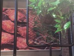 -管氏翅吧(护国寺店)