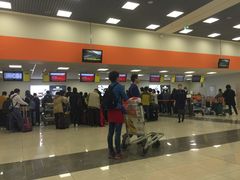 -谢列梅捷沃国际机场