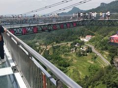 -梦幻奥陶纪景区