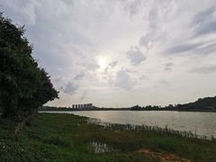 -美的鹭湖森林度假区