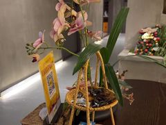 -施奈儿.洗头頭療.按摩SPA.采耳(上梅林店)
