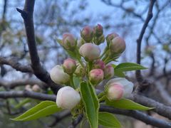 -沈阳辉山风景区