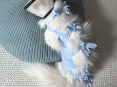 -米苏动物医院·犬猫专科·骨科外科内窥镜