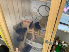 -妥妥烤肉料理(昙华林店)