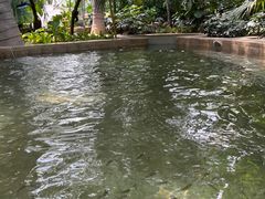 -麦积山温泉
