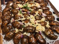-森谷美食公园(杨行店)
