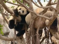 -香港海洋公园