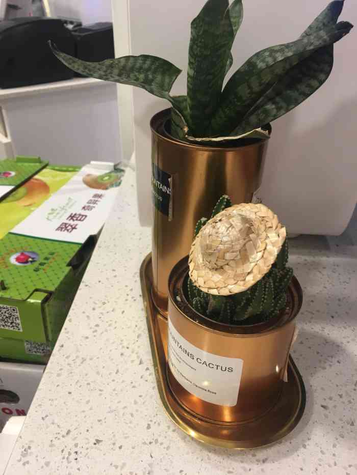 青木绵茶(保利店)-"在保利影院门口,和星巴克隔着两米距离对着.