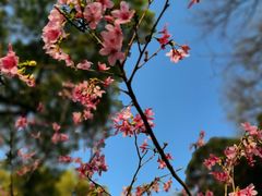 -广州市白云山风景名胜区