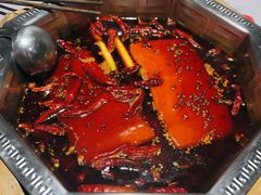 -蜀九香火锅(九眼桥店)