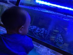 -龙门养心粥火锅(祥恒广场店)
