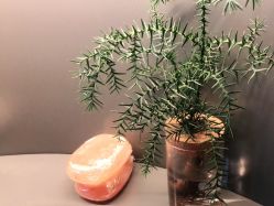 -栖SPA·ONDA ·海菲秀·皑皑科技美肤中心