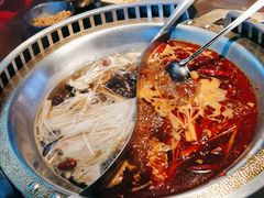 -辣伍鲜毛肚老火锅(元一店)