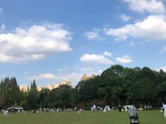 -青枫公园