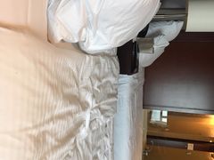 -南桥绿地铂骊酒店