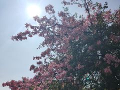 -中国移动南方基地