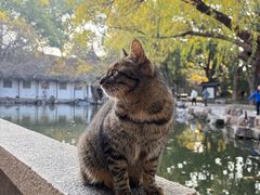 -西园寺素食(西园弄戒幢律寺店)