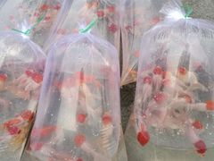 -华声天桥民俗文化园