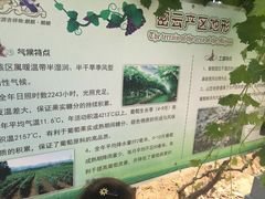 -北京张裕爱斐堡酒庄
