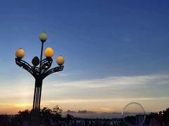 -宝安西湾红树林湿地公园