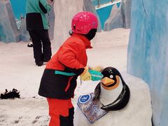 -长沙湘江冰雪世界