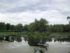 -东郊湿地公园