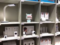 -小米之家(东方宝泰购物中心店)