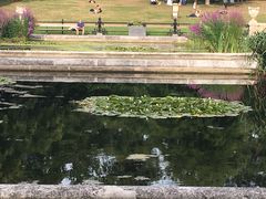 -海德公园
