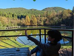 -武陵山森林公园