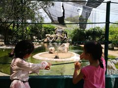 -吉隆坡雀鸟公园