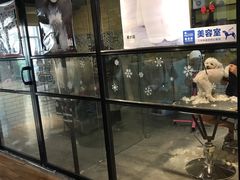 -西元前宠物酒店(郑庄府邸店)