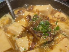 藤椒板烧玉豆腐-熊藏居酒屋(kkone店)
