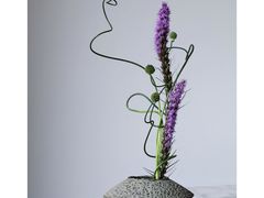 -荷兰布尔玛国际花艺学院