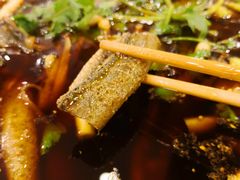 -高坎一品甲鱼庄(两河店)