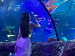 -沈阳海洋探索中心