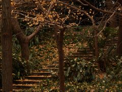 -中山公园