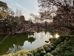 -水绘园