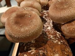 -大头椰·椰子鸡火锅(新梦店)