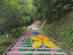 -分塔山省级森林公园