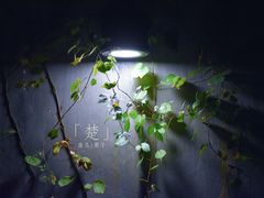 -来回·咖啡(天河南店)